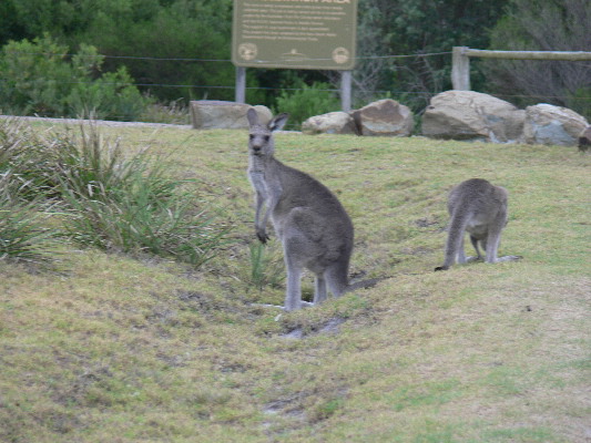 image132